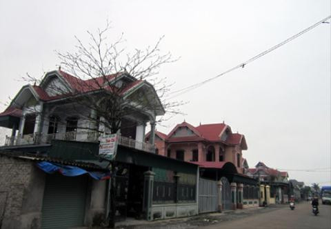 Dai gia Nghe An phat len nho buon dong nat xuyen quoc gia-Hinh-4