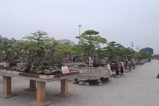 Theo Ban tổ chức, Festival đã thu hút hàng nghìn lượt du khách tham quan và dự kiến kết thúc vào ngày 10/11.