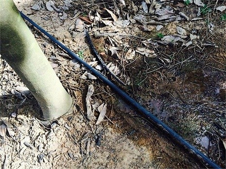 Cao su đen của nhà máy chế biển mủ cao su Hoàng Anh Attapeu được tư vấn từ các khách hàng chuyên sản xuất lốp ô tô. Ảnh: Một thế giới.