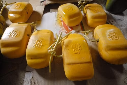 Theo ông Liêm, chưa thể khẳng định trước giá cả thời điểm này, nhưng mức giá bán các loại dưa tạo hình Tết năm nay sẽ không tăng cao hơn so với năm ngoái. Ông dự kiến giá bán dưa hấu thỏi vàng loại 1,7 kg cũng sẽ ở mức 3 triệu đồng mỗi cặp. Còn loại dưa hình thỏi vàng có chữ “Tài - Lộc” bằng lối viết thư pháp nổi lên bề mặt trái thì giá mỗi cặp cũng ở mức khoảng 3,5 triệu. Dưa hấu vuông loại 1,7 kg khoảng 1,3 triệu đồng/cặp; loại trên 2 kg quanh mức 1,7 đến 2 triệu/cặp.