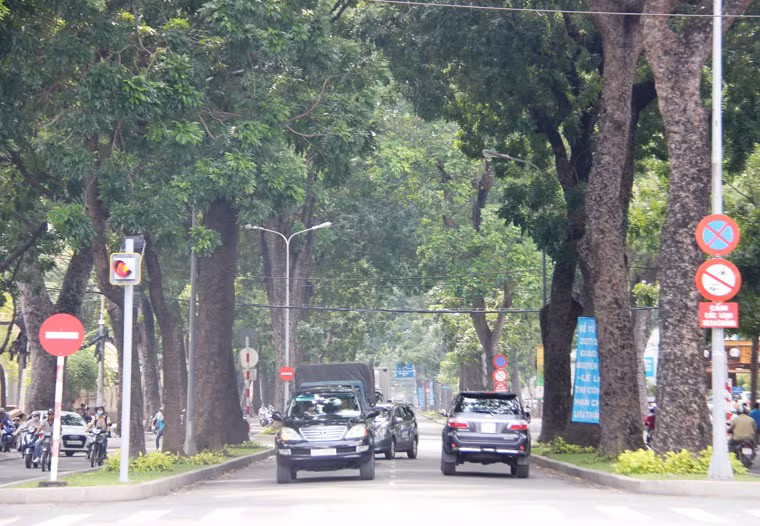 Theo đại diện Sở GTVT TP HCM thì: "Các loại cây phải đốn hạ là những cây nằm dọc theo chiều dài và gần các trụ cầu Thủ Thiêm 2. Đây là những cây cổ thụ, có đường kính gần 100cm nên không thể bứng dời đi được mà phải đốn hạ..."