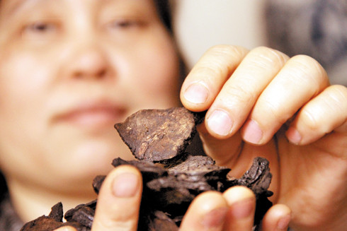 Tac dung cua ha thu o can than mac benh dau gan ung thu