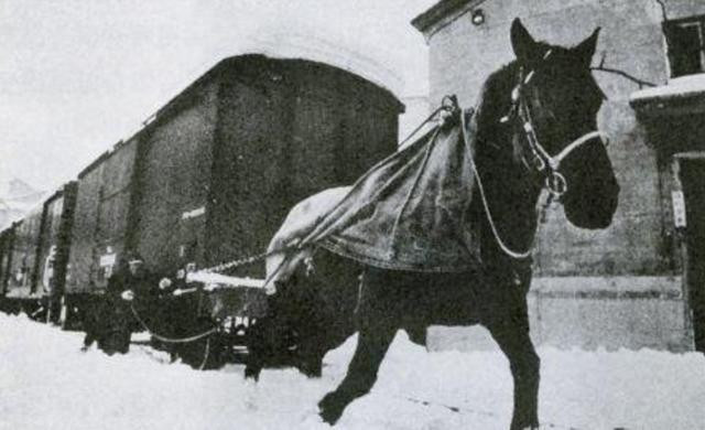 Nhìn yêu sách của Từ Hi Thái hậu khi đi tàu hoả: Chẳng trách nhà Thanh sụp đổ Nhin yeu sach cua Tu Hi Thai hau khi di tau hoa: Chang trach nha Thanh sup do