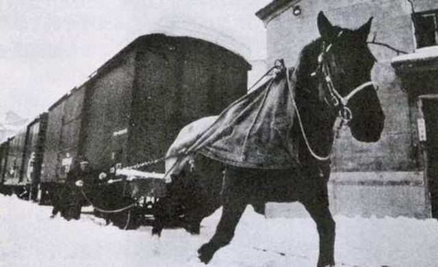 Nhin yeu sach cua Tu Hi Thai hau khi di tau hoa: Chang trach nha Thanh sup do