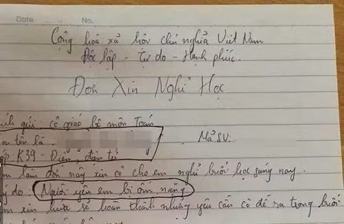 Nam sinh xin nghi hoc voi ly do ca lop meo mat: 'Lai mat tien roi'-Hinh-5