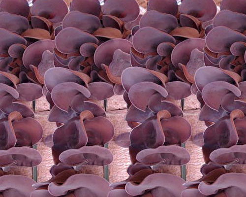 Sắt cần thiết cho sự tổng hợp hemoglobin, nếu thực phẩm không đủ cung cấp sắt sẽ ảnh hưởng đến tổng hợp hemoglobin, từ đó ảnh hưởng đến sự tăng trưởng chiều cao và trí tuệ, chức năng miễn dịch giảm sút khiến trẻ thường xuyên bị ốm. Mẹ có thể kết hợp nấu với gan lợn, thịt lợn sẽ bổ dưỡng và thơm ngon. Lưu ý: Mộc nhĩ đen nhuận tràng nên nếu trẻ lạnh bụng hoặc tiêu chảy thì không được cho trẻ ăn.