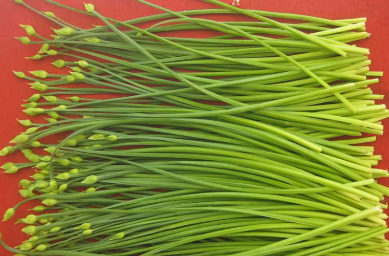 Các vitamin và carotenoids này có tác dụng cải thiện thị lực, giảm mệt mỏi mắt như vậy. Thích hợp với những người sử dụng máy tính trong thời gian dài, carotene tăng cường miễn dịch, ngăn ngừa ung thư, chống oxy hóa và chống lão hóa. Hàm lượng kali thích hợp cho bệnh cao huyết áp.