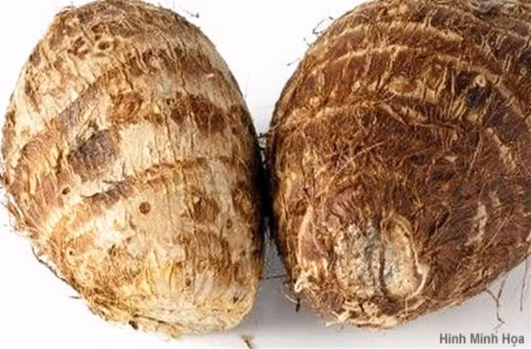 Protein dồi dào trong khoai môn có tác dụng trong việc phát triển xương cơ và các cơ quan nội tạng. Khoai môn nấu canh hay nấu cháo với ngô sẽ càng thơm ngon, bổ dưỡng.