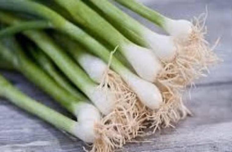 Chống vi khuẩn, chống virus, phòng chống ung thư: Hành lá có chứa allicin, có tác dụng trong việc chống khuẩn, đặc biệt là trực khuẩn kiết lị và nấm da. Chất pectin có trong hành lá có tác dụng đáng kể trong việc giảm nguy cơ ung thư đại tràng, allicin ức chế sự tăng trưởng của tế bào ung thư