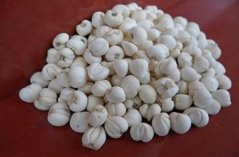 Lê cách thủy với xuyên bối mẫu. Lê gọt vỏ, khoét lõi bỏ hột. dùng hai tiền (khoảng 5g) xuyên bối mẫu cho vào giữa quả lê, đặt vào nồi hấp cách thủy cho mềm, ăn nóng.