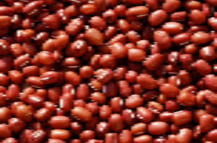 Đậu đỏ rất giàu vitamin B1, B2, protein và khoáng chất, có tác dụng bổ máu, lợi tiểu, tiêu sưng và thúc đẩy hoạt động của tim . Thường xuyên ăn sẽ có tác dụng giảm phù thũng ở chân và giảm béo