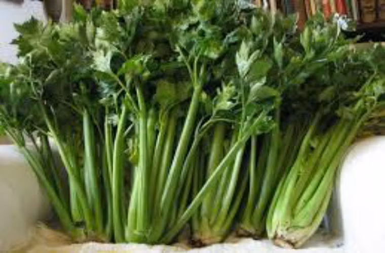 Cần tây: Loại rau giàu dinh dưỡng, canxi, phốt pho và hàm lượng sắt cao, cần tây cũng rất giàu carotene và vitamin, rất có lợi cho sức khỏe. Thường xuyên ăn cần tây ngoài bổ sung canxi cho đôi chân, nó còn tốt cho tim và phổi.