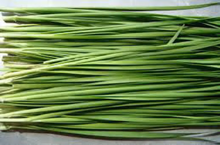 Trong đông y, hẹ có tác dụng tốt cho gan và dạ dày. Tinh dầu dễ bay hơi có trong hẹ, đặc biệt là mùi thơm khác lạ của hẹ, giúp khích thích gan, tăng cảm giác thèm ăn, tăng cường tiêu hóa. Mùa đông có thể xào hẹ với trứng hoặc làm nhân bánh đều rất ngon.