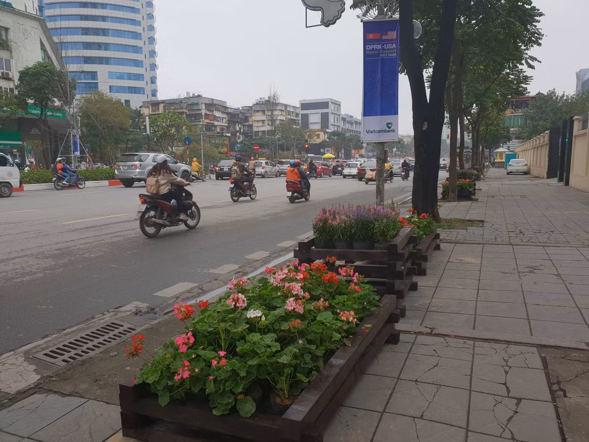 Các loại hoa đầy màu sắc được trang trí trên vỉa hè.