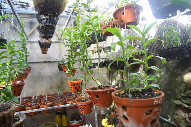 Nguoi choi lan dot bien tiet lo su that kho tin ve cac thuong vu mua - ban gan 'tram ti'