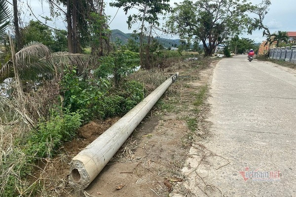 Dien luc TT-Hue len tieng viec 200 cot dien gay, do du 'dat tieu chuan'-Hinh-4