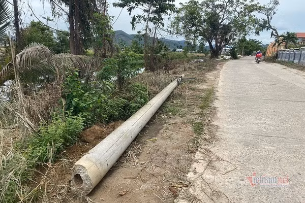 Dien luc TT-Hue len tieng viec 200 cot dien gay, do du 'dat tieu chuan'-Hinh-4