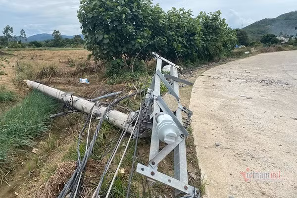 Dien luc TT-Hue len tieng viec 200 cot dien gay, do du 'dat tieu chuan'-Hinh-6