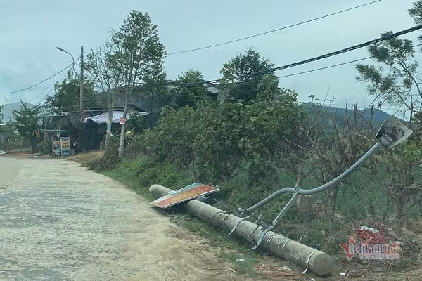 Dien luc TT-Hue len tieng viec 200 cot dien gay, do du 'dat tieu chuan'-Hinh-5