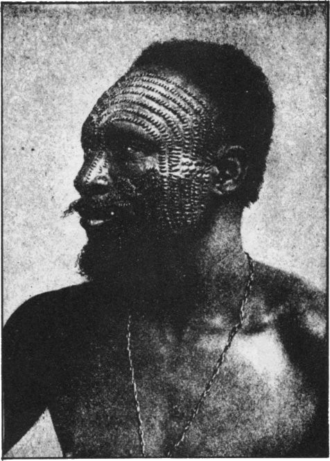 Một thủ lĩnh tộc người Ngombe ở Công thể hiện địa vị của mình qua những vết sẹo được tạo tác một cách có chủ ý trên khuôn mặt.