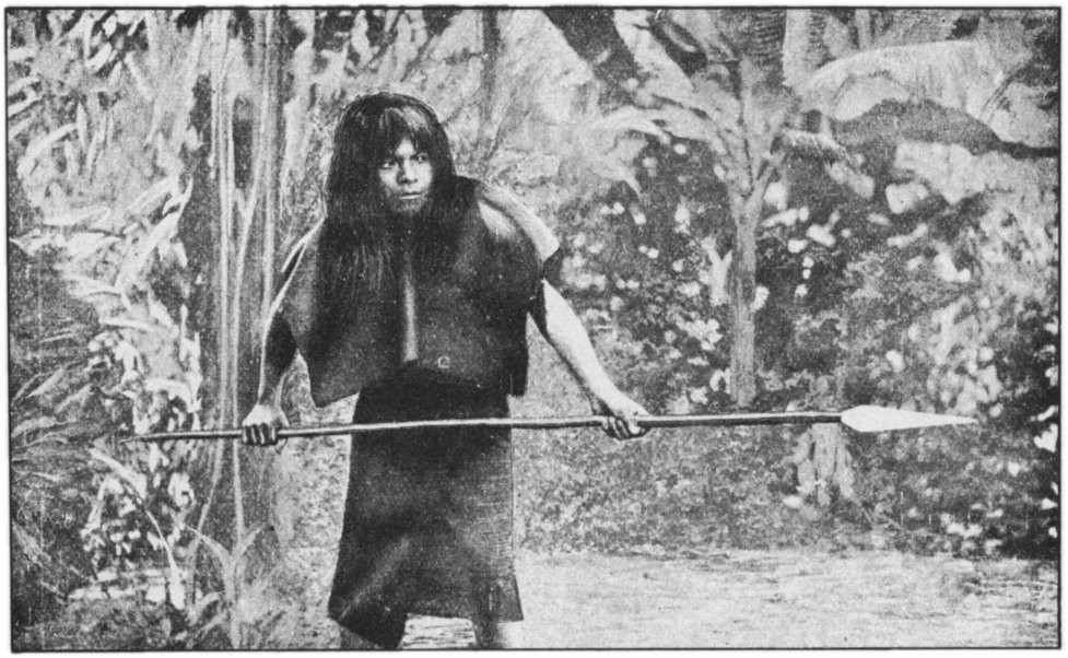 Một nam giới tộc người thiểu số trong rừng rậm Amazon đi săn bằng cây giáo của mình. Cây giáo có mũi bằng kim loại, có lẽ là một di vật của người Tây Ban Nha nhiều thế kỷ trước, vì cộng đồng dân cư nơi đây còn chưa biết cách luyện kim.