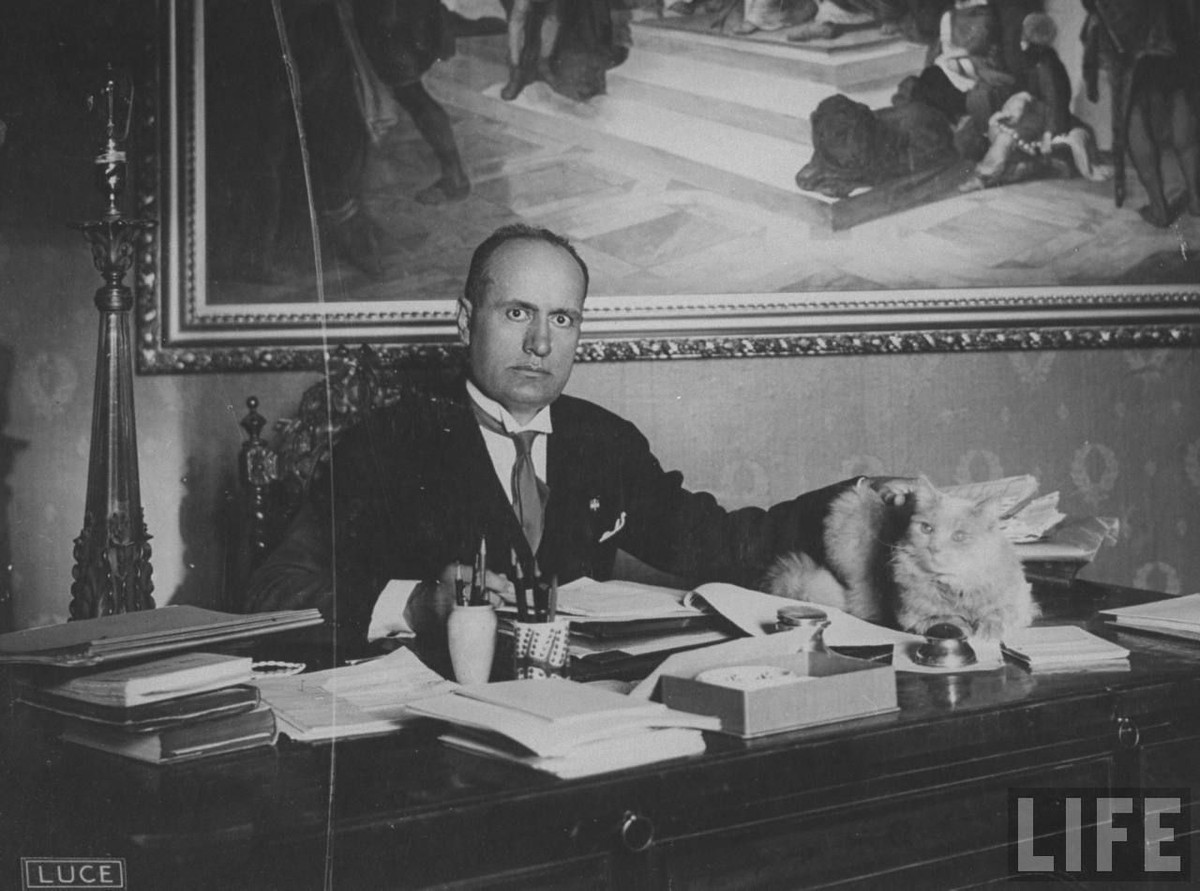 Vào ngày 8/1/1940, trùm phát xít Italia Benito Mussolini đã gửi một bức điện tới đồng minh của mình Adolf Hitler. Trong bức điện, Mussolini khuyên Hitler không nên tiến hành chiến tranh với Anh.