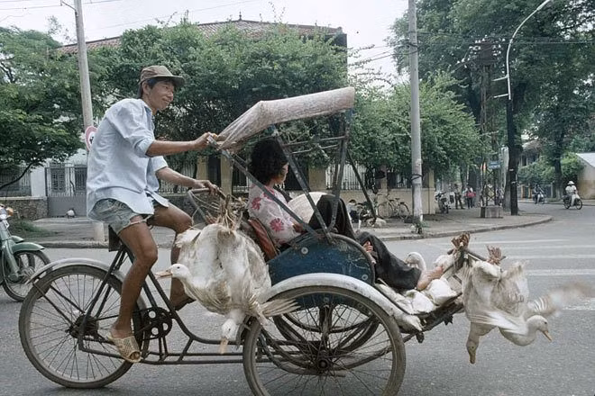 Một chiếc xích lô chở khách cùng những con vịt treo lũng lẳng trên ghi đông và giá để chân, hình ảnh quen thuộc tại TP HCM năm 1994.