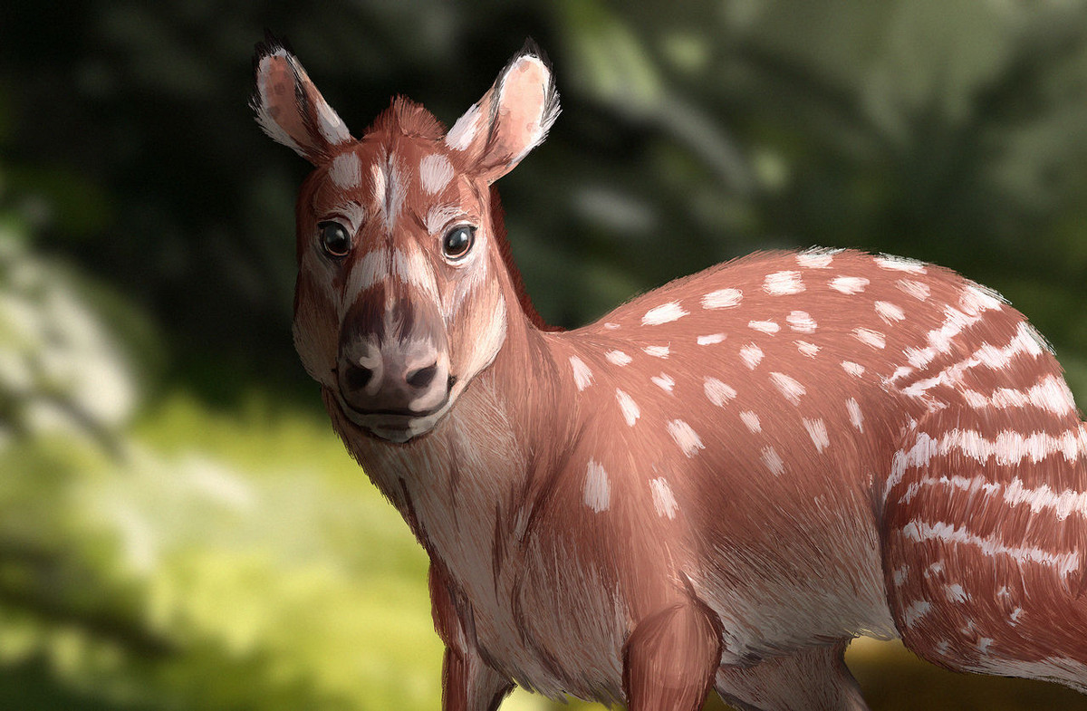 Hyracotherium là chi ngựa được biết đến sớm nhất, có kích cỡ của một con chó (dài 60 cm, cao 35 cm), sống cách đây 50 triệu năm ở châu Âu, châu Á và Bắc Mỹ. Khác với các hậu duệ, chúng có cổ ngắn, lưng cong, chi trước có bốn ngón và chi sau ba ngón.