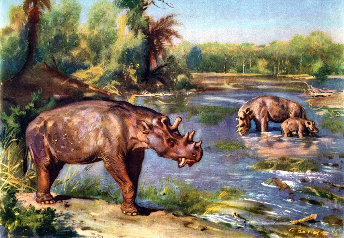 Uintatherium là chi động vật ăn cỏ to bằng con tê giác (dài 4 mét, nặng 2 tấn), sống cách đây 45 triệu tới 37 triệu năm ở Bắc Mỹ. Chúng có cơ thể chắc khỏe, răng nanh lớn, mặt có ba cặp núm xương (dài đến 30 cm ở con đực), có lẽ được dùng để phòng thù hoặc ve vãn con cái.