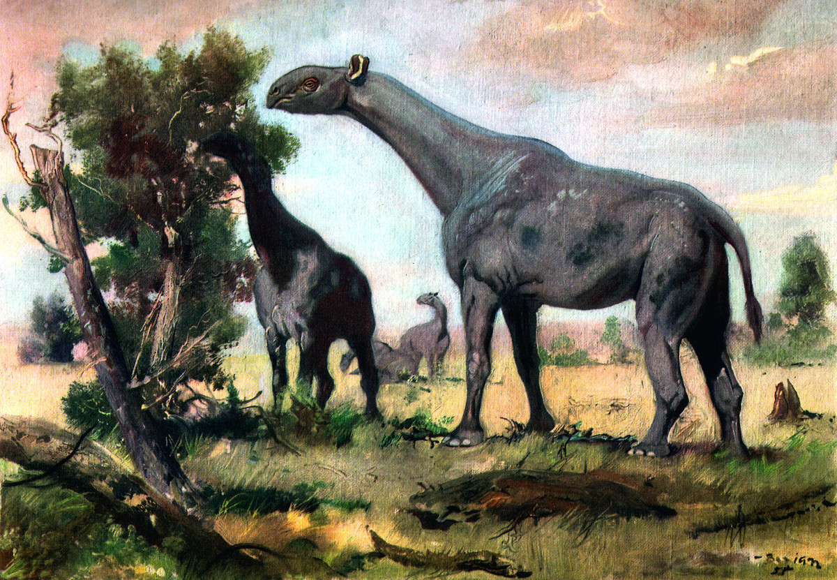 Indricotherium là chi động vật có vú lớn nhất từng sống trên đất liền với chiều dài 9 mét, cao đến vai 5,5 mét, nặng 15 tấn, sống cách đây 33 triệu tới 23 triệu năm, hóa thạch được tìm thấy tại Pakistan, Kazakhstan, Trung Quốc. Chúng là tổ tiên của tê giác, dù ngoại hình khác xa. Thức ăn của Indricotherium là lá cây.