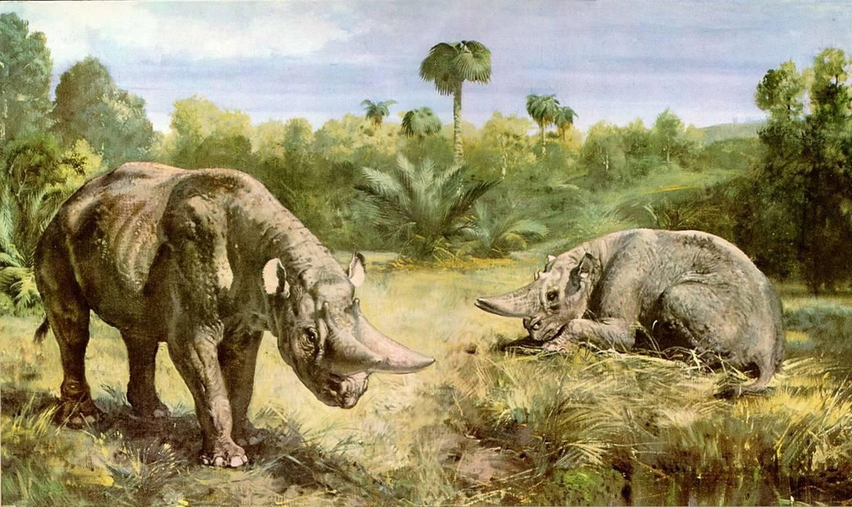 Arsinoitherium là chi thú ăn cỏ có ngoại hình giống tê giác, dài 3,5 mét, cao đến vai 1,8 mét, sống cách đây 36 triệu tới 30 triệu năm ở châu Phi (Ai Cập). Con vật này có cặp sừng mọc song song trên mặt. Chúng dành phần lớn thời gian để nhai lá cứng ở rừng nhiệt đới ven sông hoặc rừng ngập mặn.