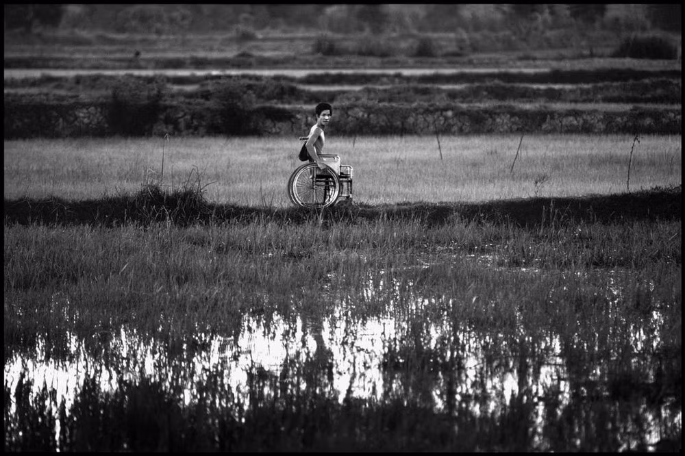 Một thương binh đi xe lăn ra thăm đồng.