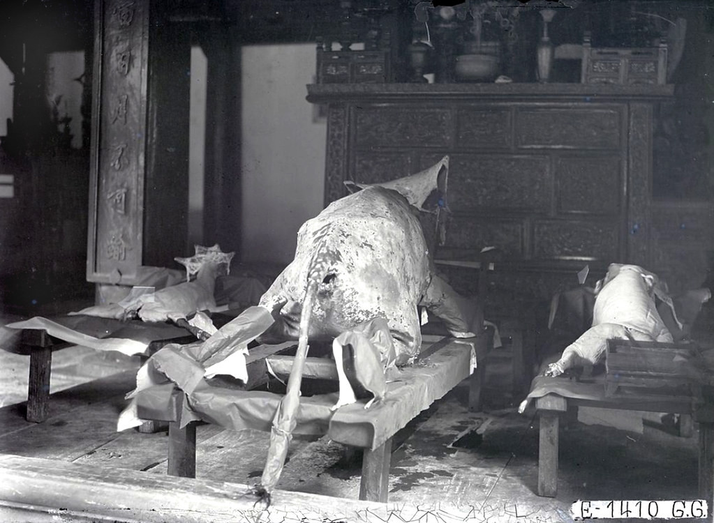 Đồ hiến tế trong một buổi lễ ở Văn Miếu Hà Nội thập niên 1920: Bò, lợn và dê thui nguyên con.