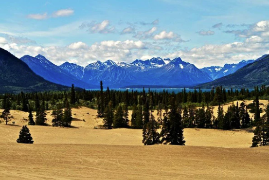 ##b###8. Sa mạc nhỏ bé nhất thế giới? Trong kỷ băng hà Wisconsinan McConnell cách đây khoảng 11.000-24.000 năm, Carcross cũng như toàn Yukon đã bị băng phủ kín. Khi băng bắt đầu tan cũng là lúc các hồ nước lớn hình thành. Trải qua thời gian, nước bị thấm hút xuống lòng đất, để lộ các dải cát dài. Và những cơn gió dữ dội thổi về phía Tây Bắc đã làm nên một điều kỳ diệu khó tin nhất. Đó là cuốn cát vào thung lũng, dần dà tích tụ, tạo nên sa mạc Carcross như bây giờ. Ngày nay, những cơn gió mạnh này vẫn tiếp tục thổi dọc theo hồ Bennett của Yukon, mang thêm cát vào cho sa mạc Carcross. Nhưng điều quan trọng nhất là Carcross giờ vẫn hội tụ đủ mọi điều kiện để được gọi là sa mạc. * Tiêu đề bài viết đã được biên tập lại