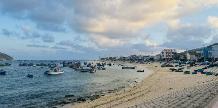 Reu xanh lang chai Nhon Hai niu chan du khach-Hinh-5