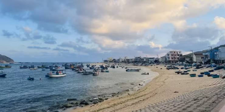 Reu xanh lang chai Nhon Hai niu chan du khach-Hinh-5