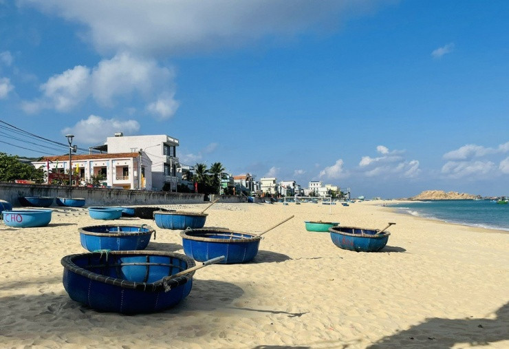 Reu xanh lang chai Nhon Hai niu chan du khach-Hinh-6