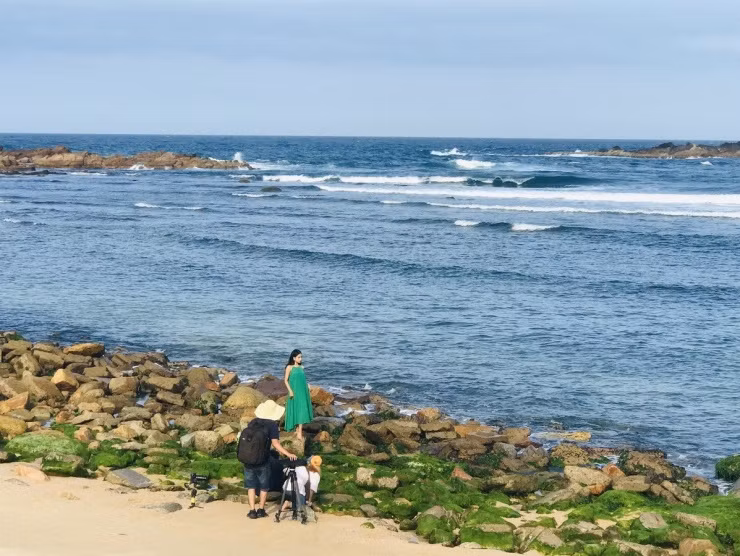 Rêu xanh làng chài Nhơn Hải níu chân du khách Reu xanh lang chai Nhon Hai niu chan du khach