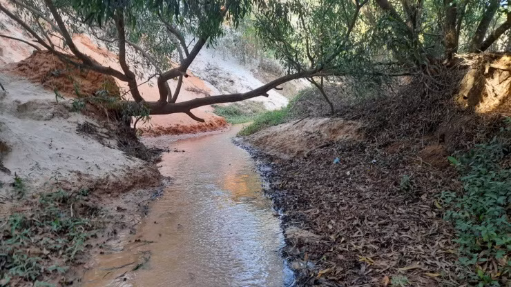 Một cây ngã đổ từ lâu, nhưng vẫn con sống nên vẫn được giữ lại, mỗi khi đi qua đây, du khách phải chui qua.