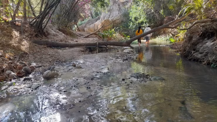 Tuy nhiên, không phải đoạn nào của Suối Tiên cũng đẹp.