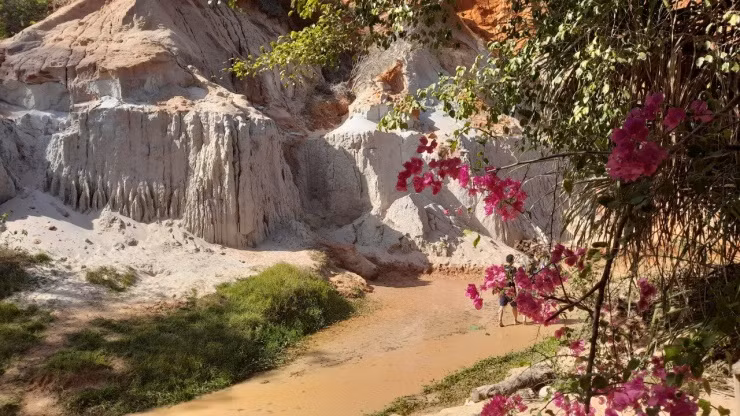 Suối Tiên dài hơn 2 km, bắt nguồn từ làng Dừa, xã Thiện Nghiệp chảy qua phường Hàm Tiến rồi đổ ra biển. Khi đến đây, du khách không khỏi ngỡ ngàng bởi nước suối có màu đỏ cam rực rỡ, 1 bên là những khối nhũ cát nhấp nhô, 1 bên là những hàng dừa, bụi dứa dại um tùm xanh mướt, tạo nên một khung cảnh thật thơ mộng.