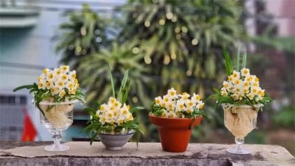 Mang 8 loai hoa nay ve, nam moi 2024 thinh vuong, binh an-Hinh-8