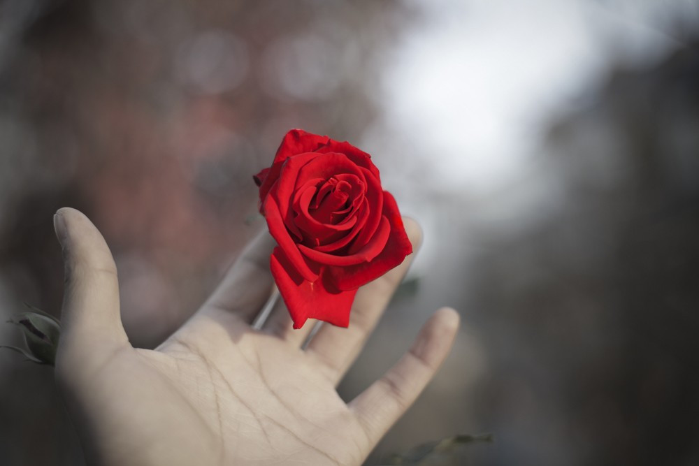 Di Nhat lam giau, toi sa nga vao co bac, em yeu nguoi khac