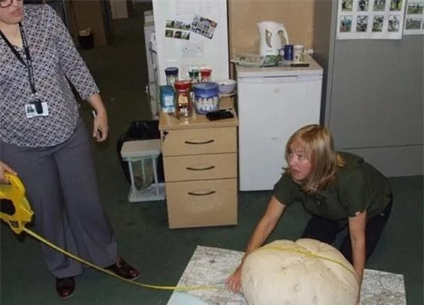 Lại gần tảng đá ven đường, chuyên gia ngớ người trước "kho báu" - Hình 2 Lai gan tang da ven duong, chuyen gia ngo nguoi truoc