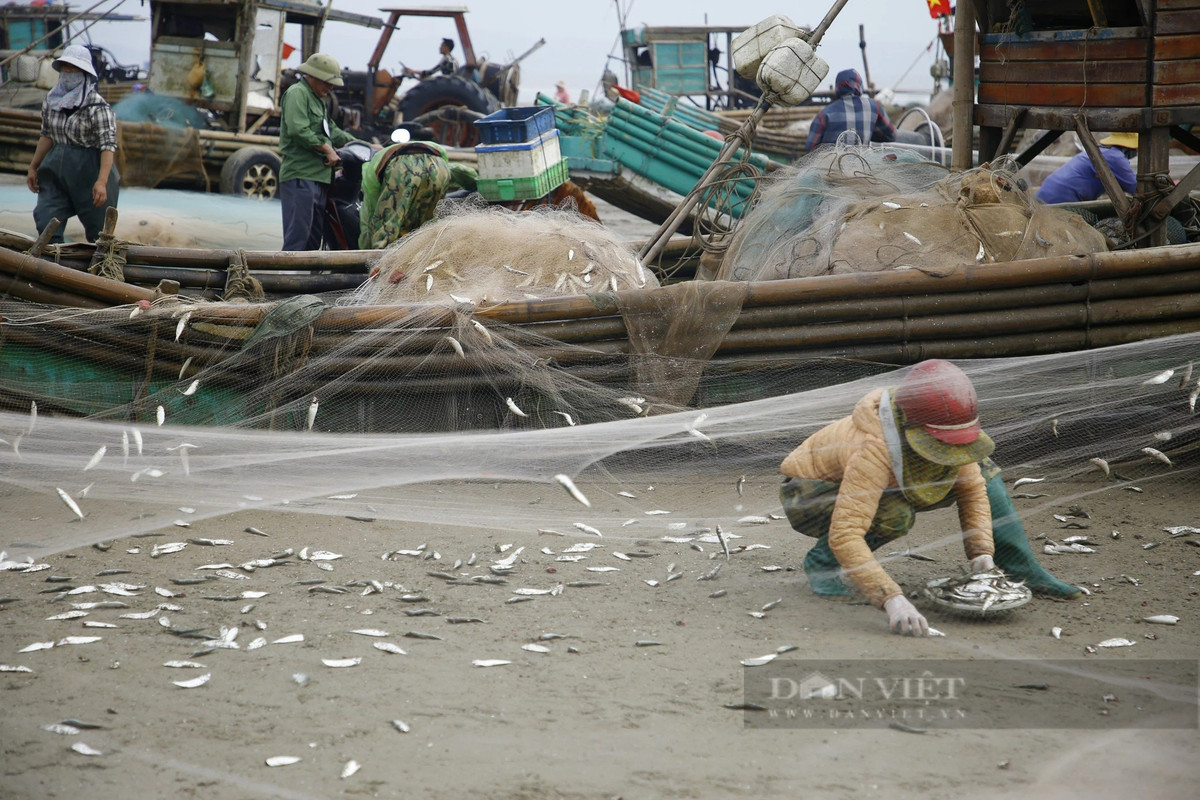 Thang Gieng, ngu dan Thanh Hoa go ca trich moi tay-Hinh-5