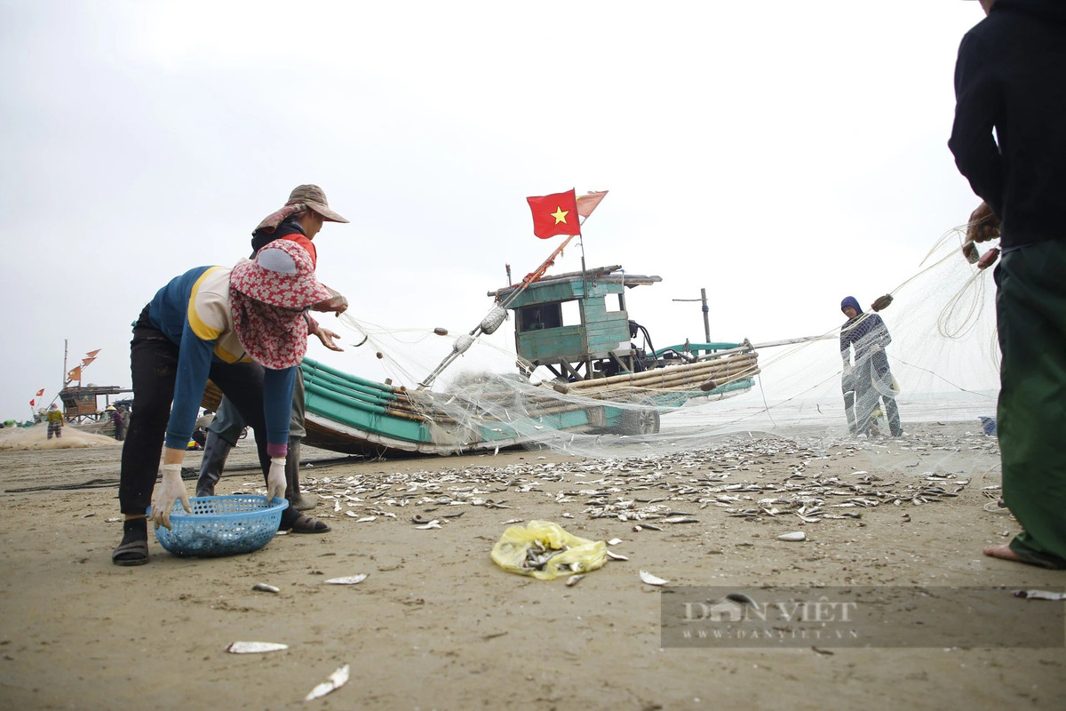 Thang Gieng, ngu dan Thanh Hoa go ca trich moi tay-Hinh-6