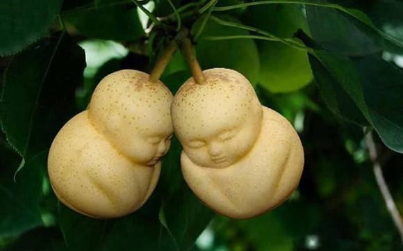 5 loai qua nen bay, 3 loai tuyet doi khong dat len mam ngu qua-Hinh-2