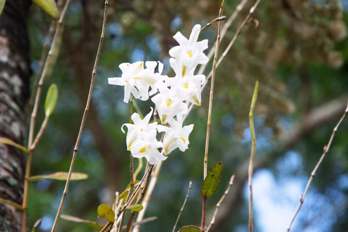 Video: Kham pha Vuon Quoc gia U Minh Ha-Hinh-10