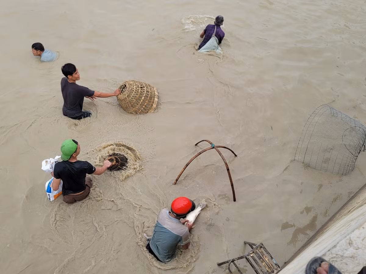 Nơm, vó, thậm chí bu nhốt gà được tận dụng để úp cá.