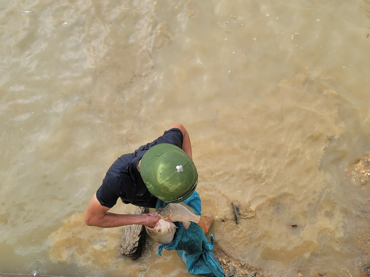 Năm trước, ông Nguyễn Hữu Xuân, một người con của Xuân Thọ (hiện cư trú tại tỉnh Đồng Nai) đã thả gần 10 tấn cá thương phẩm, tặng cho địa phương để chuẩn bị cho lễ hội bắt cá hồ Cầu Bè.